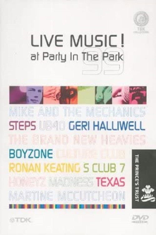 Party in the Park 1999 (2002) poster