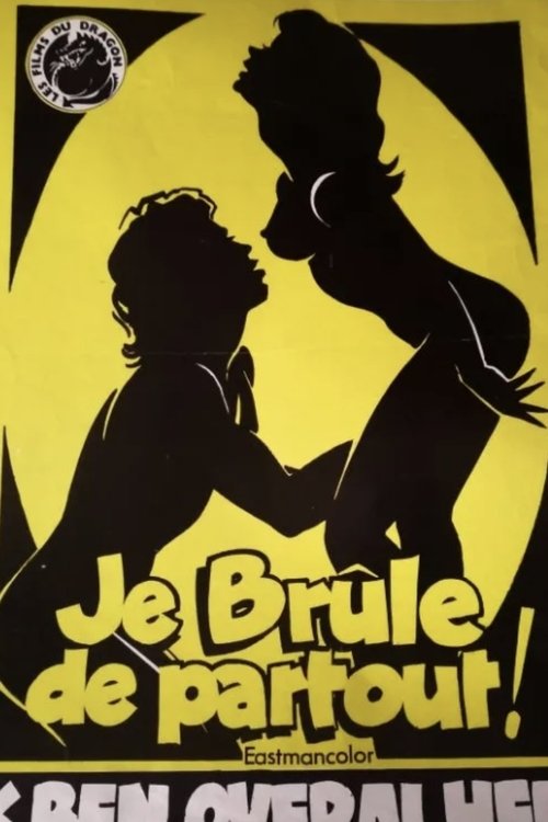 Je brûle de partout (1979) poster