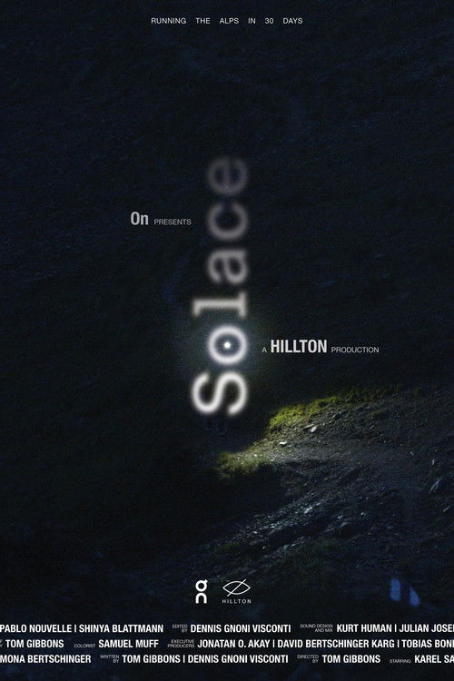Solace (2021) poster