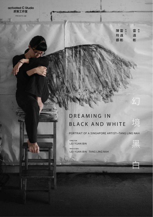 Dreaming in Black and White (2017) poster