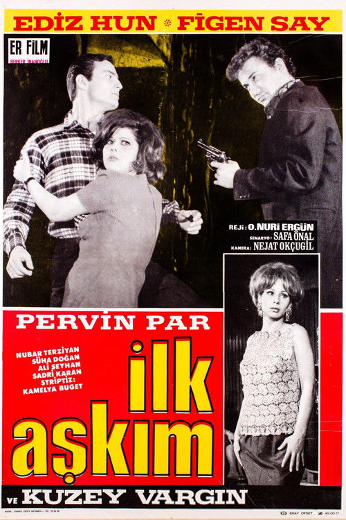 İlk Aşkım (1967) poster