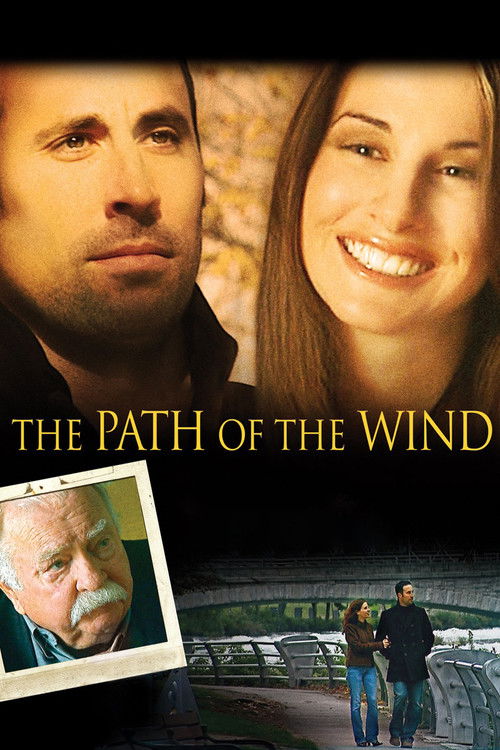 The Path of the Wind (2009) poster