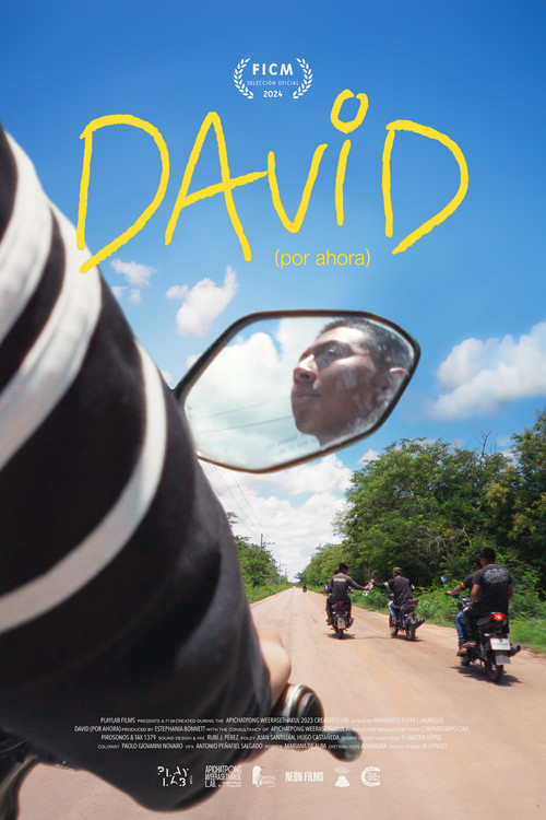 David (For Now) (2024) poster