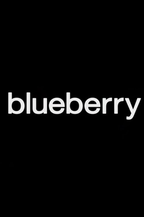 Blueberry (2009) poster