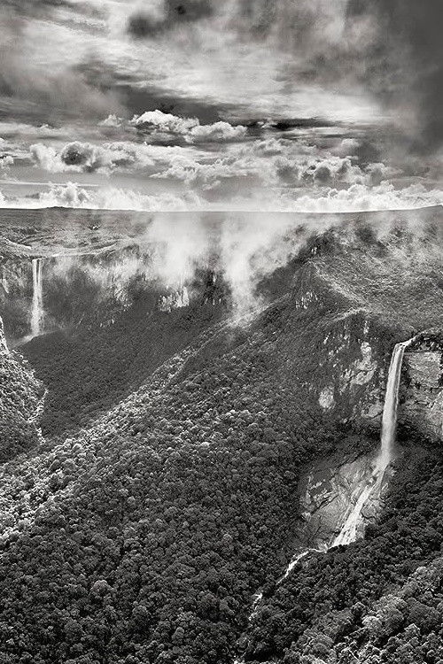 Planeta Amazônia (2022) poster