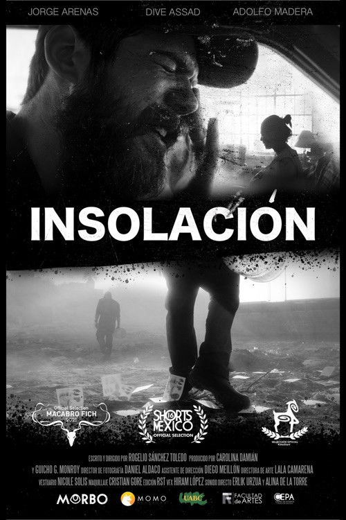 Insolación (2020) poster