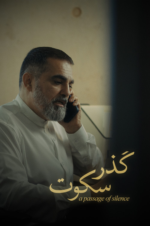 گذر سکوت poster