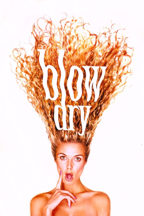 Blow Dry (2001) poster