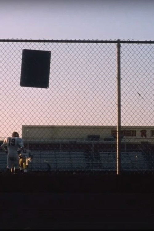 Farewell (2013) poster