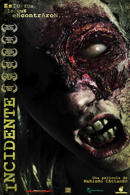 Incident (2010) poster