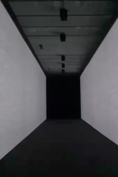 data.path (2013) poster