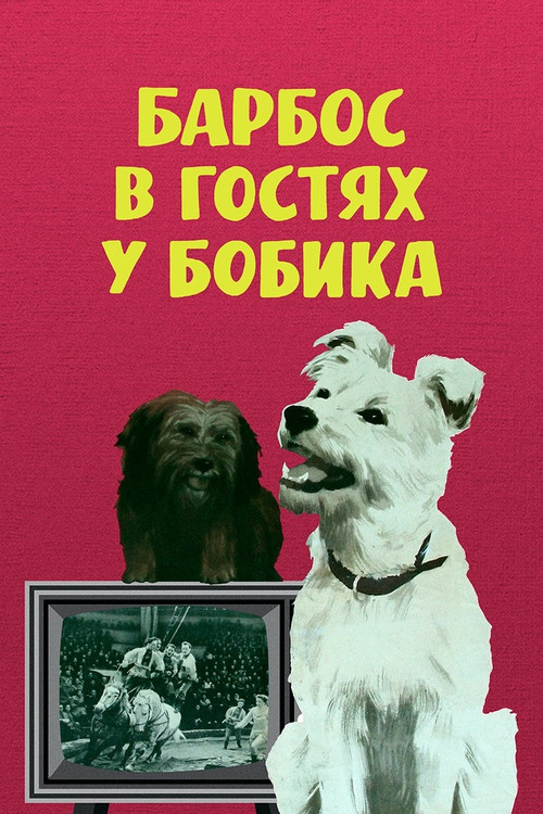 Barbos Visiting Bobik (1965) poster