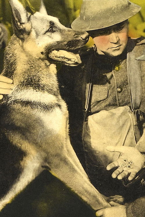 His Master's Voice (1925) poster