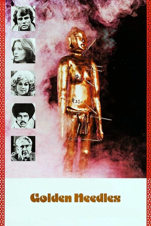Altın İğneli Adam (1974) poster