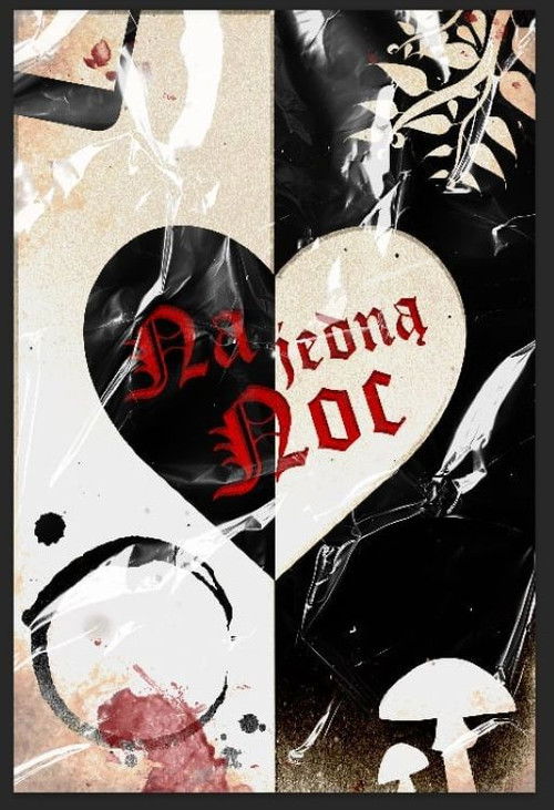 Na jedną noc (2025) poster