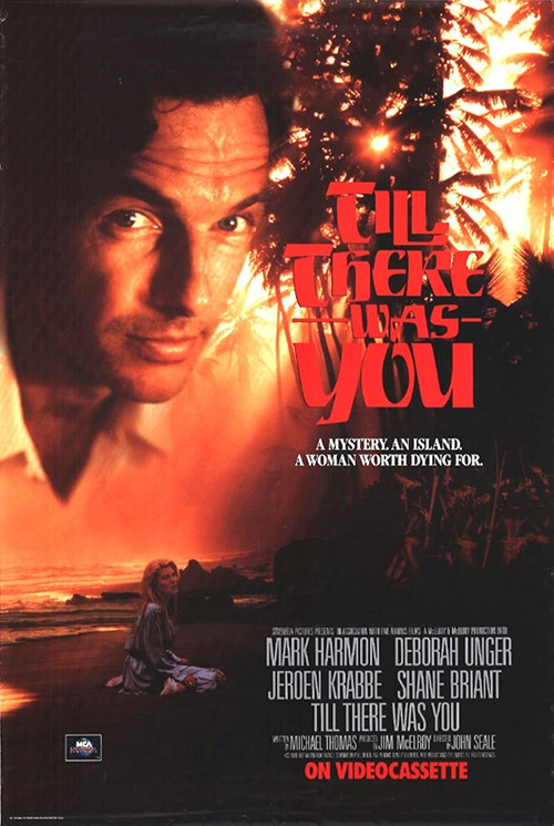 Till There Was You (1991) poster