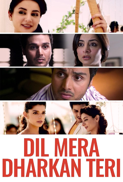Dil Mera Dhadkan Teri (2013) poster