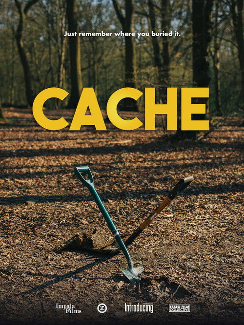 Cache (2021) poster