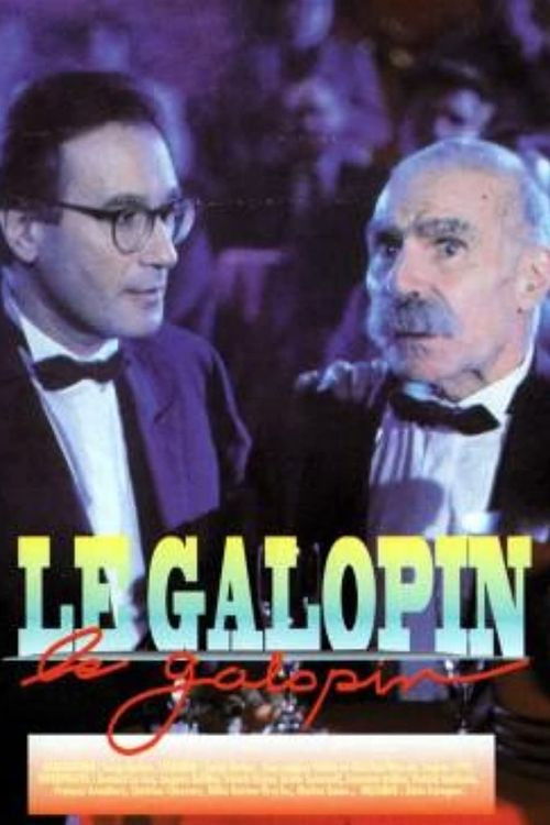 Le galopin (1993) poster