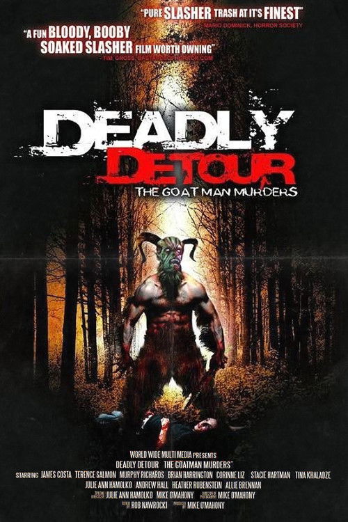 Deadly Detour (2011) poster