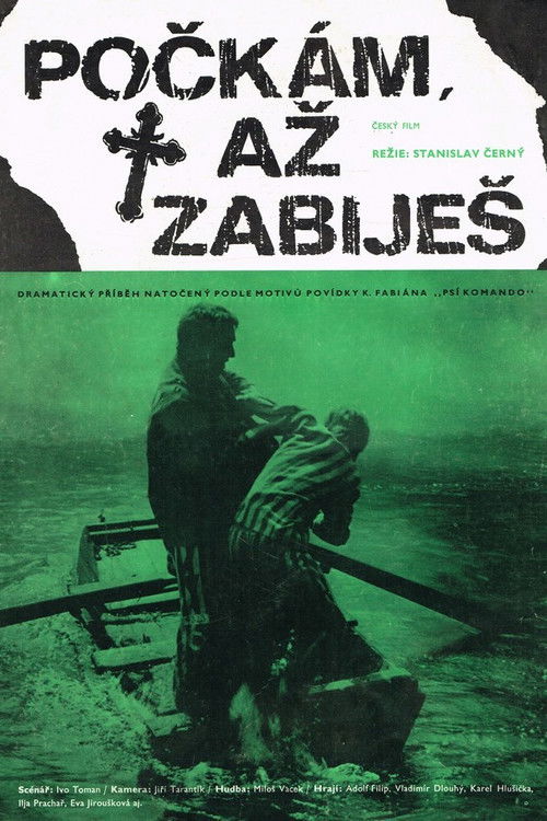 Počkám, až zabiješ (1973) poster