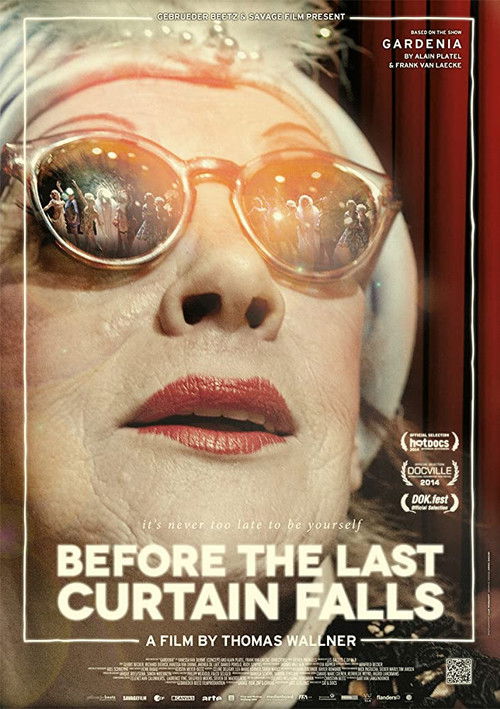 Before the Last Curtain Falls (2014) poster