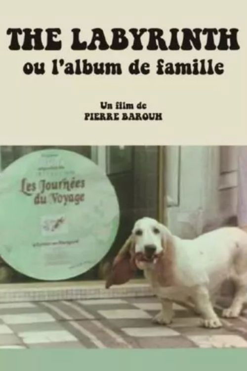 The Labyrinth ou L'album de famille (1976) poster
