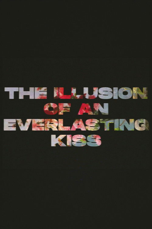 The Illusion of an Everlasting Kiss (2024) poster