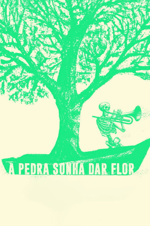 A Pedra Sonha Dar Flor (2024) poster