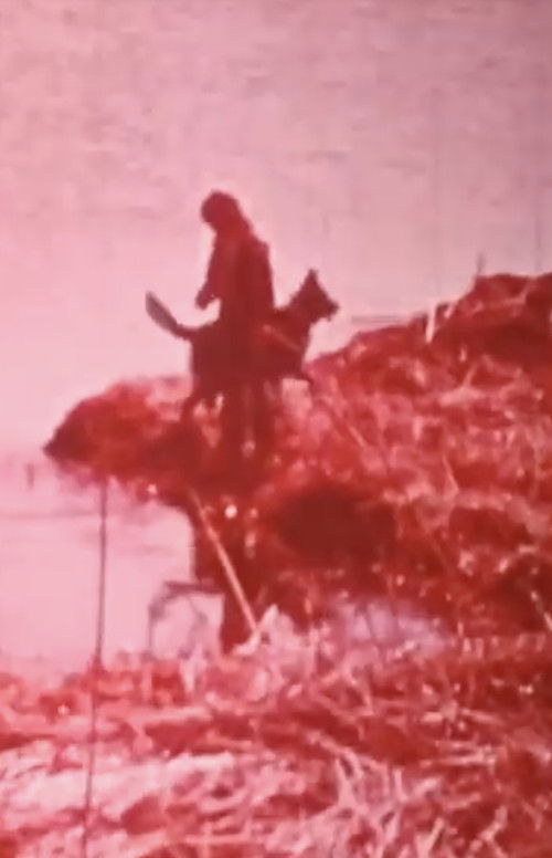 Hobo and the Runaway (1975) poster