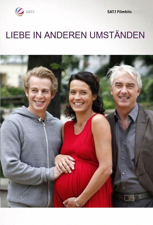 Liebe in anderen Umständen (2009) poster