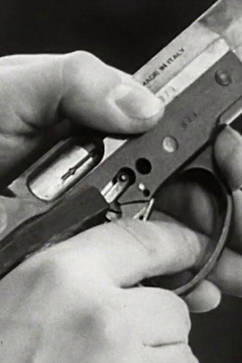 Dalla parte del manico (1969) poster