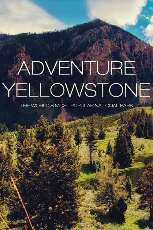 Adventure Yellowstone (2013) poster