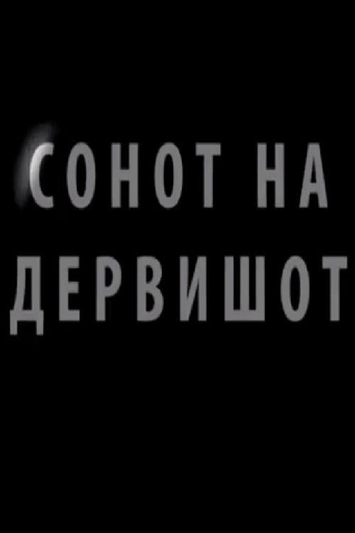 Сонот на дервишот (2017) poster