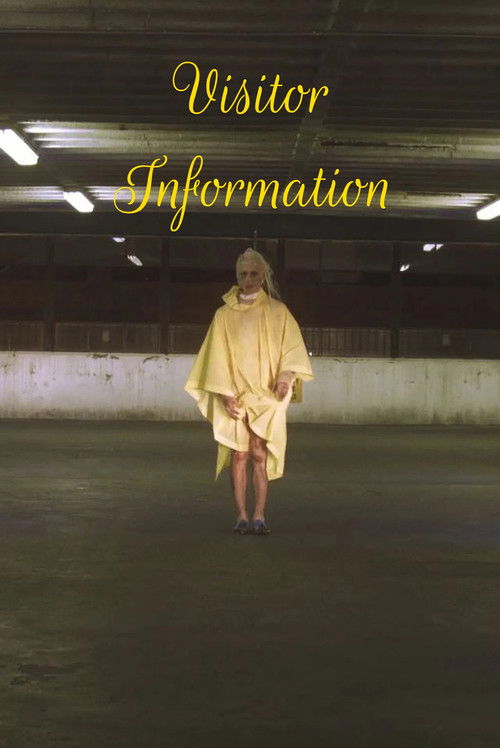 Visitor Information (2015) poster