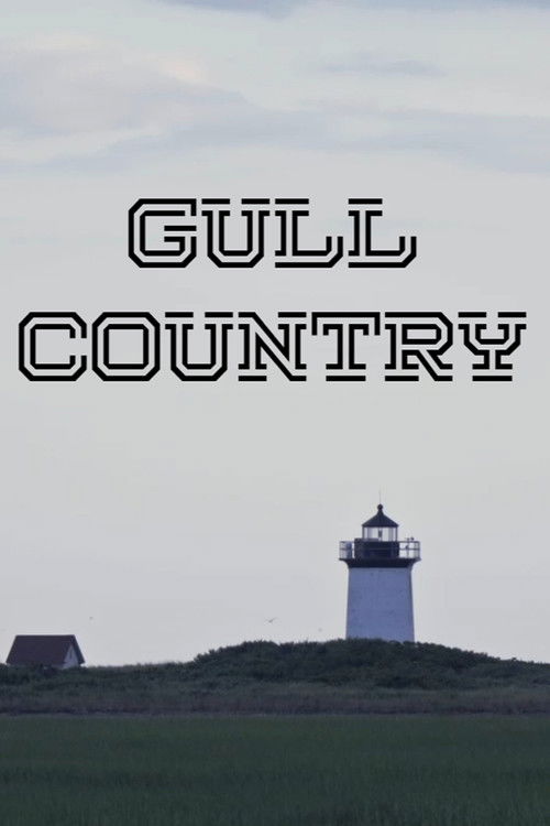 Gull Country (2023) poster