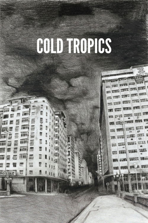 Recife Frio (2009) poster