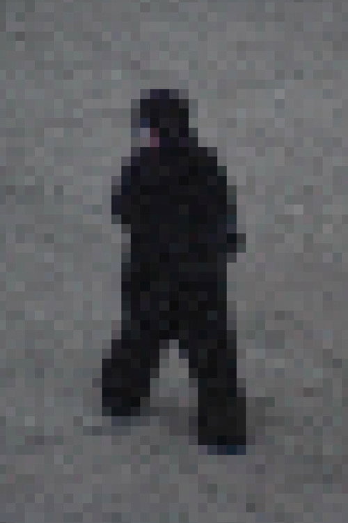Gorilla Gorilla poster