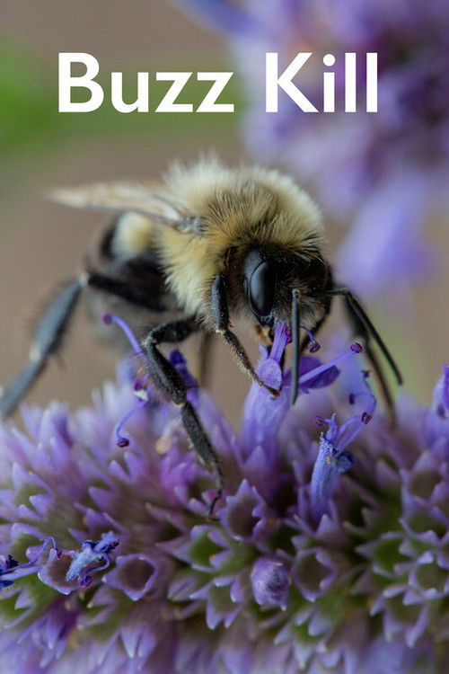 Buzz Kill (2020) poster