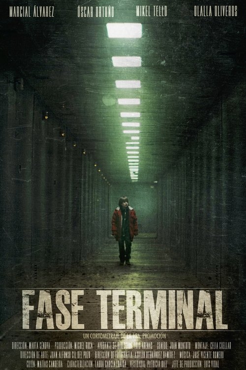 Fase terminal (2011) poster