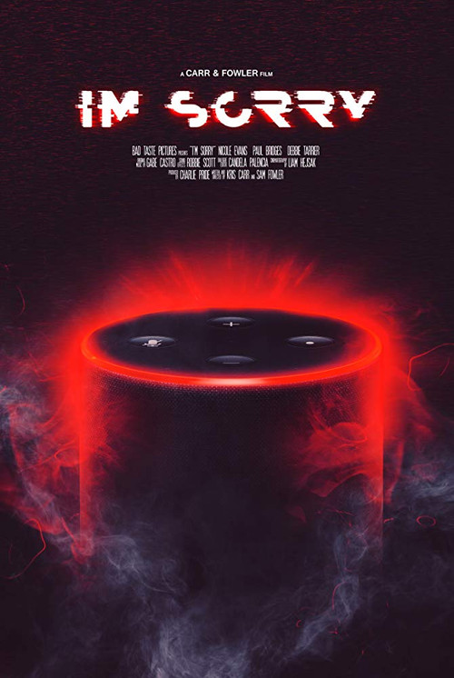 I'm Sorry (2019) poster