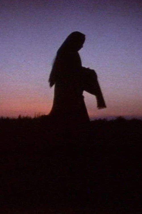 Women in the Shadows (1991) poster