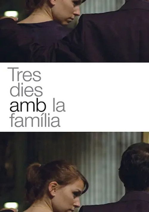 Tres dies amb la família (2009) poster