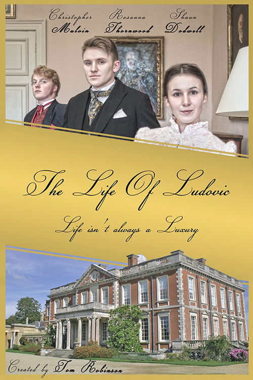 The Life of Ludovic (2015) poster