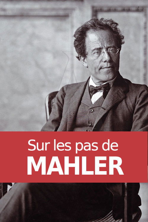 Sur les pas de Mahler (2013) poster