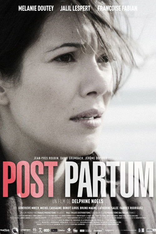 Post Partum (2013) poster