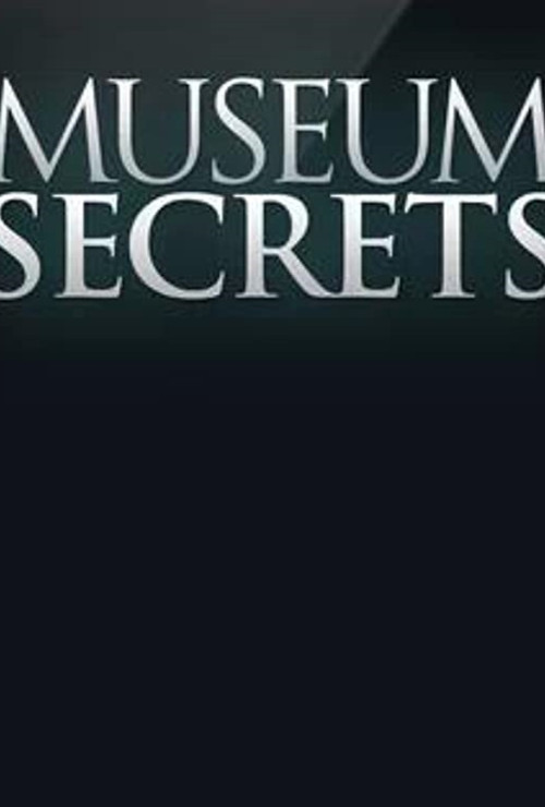 Inside the Egyptian Museum (2011) poster