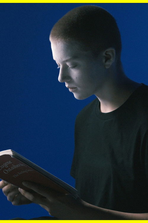 The Feeling Sonnets (Transitional Object) poster