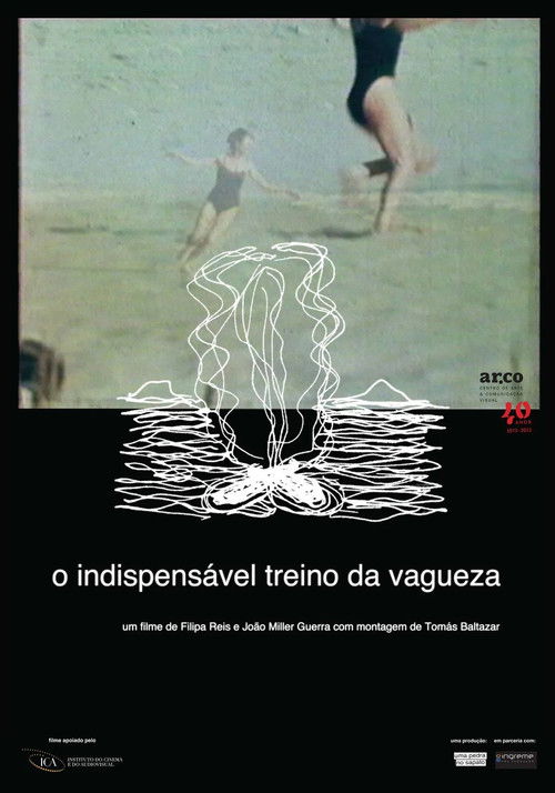 The Indispensable Practice of Vagueness (2014) poster