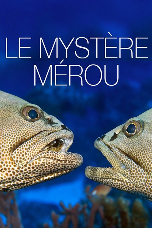 The Grouper Mystery (2015) poster